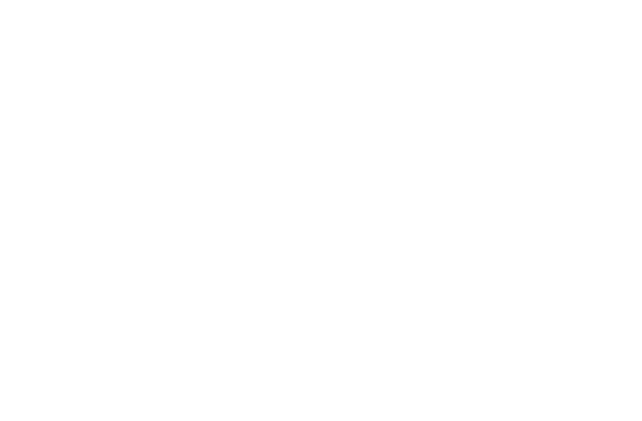 SCRIPTMARKET.PRO Logo